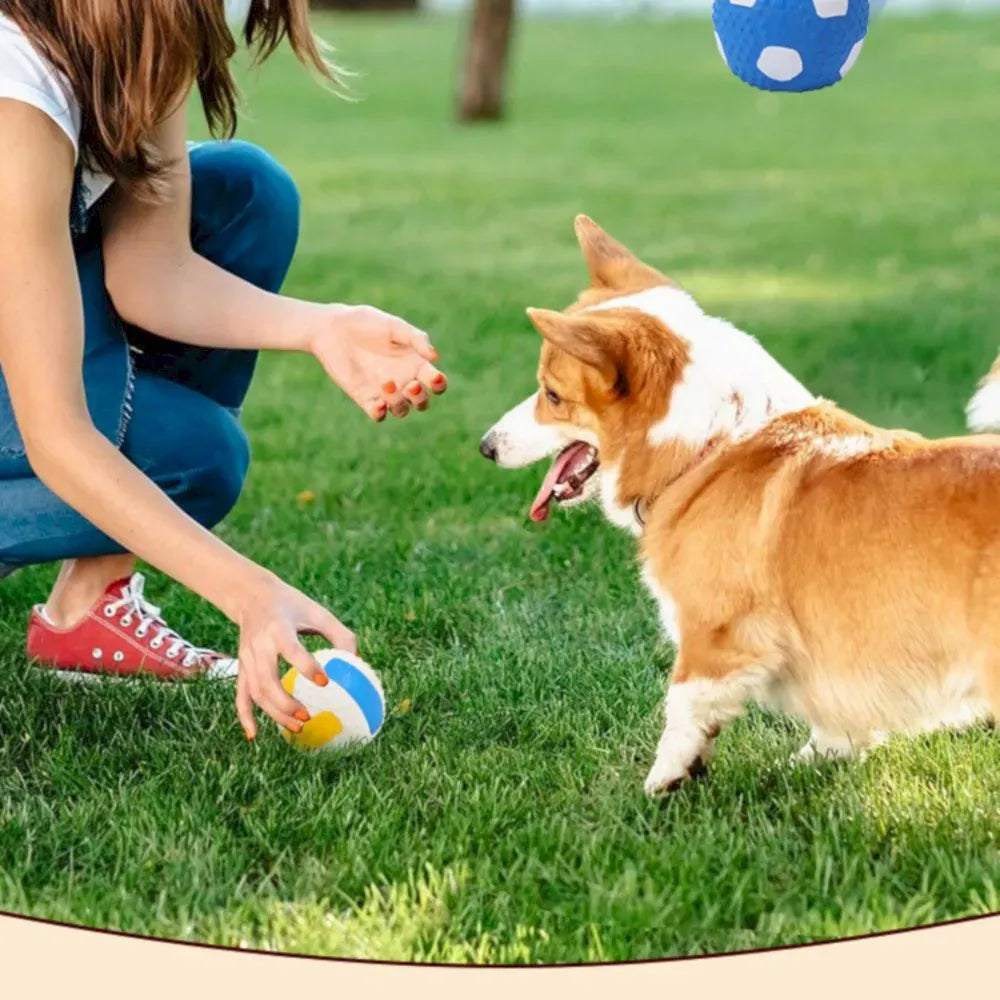 VolleyPup Squeak Ball