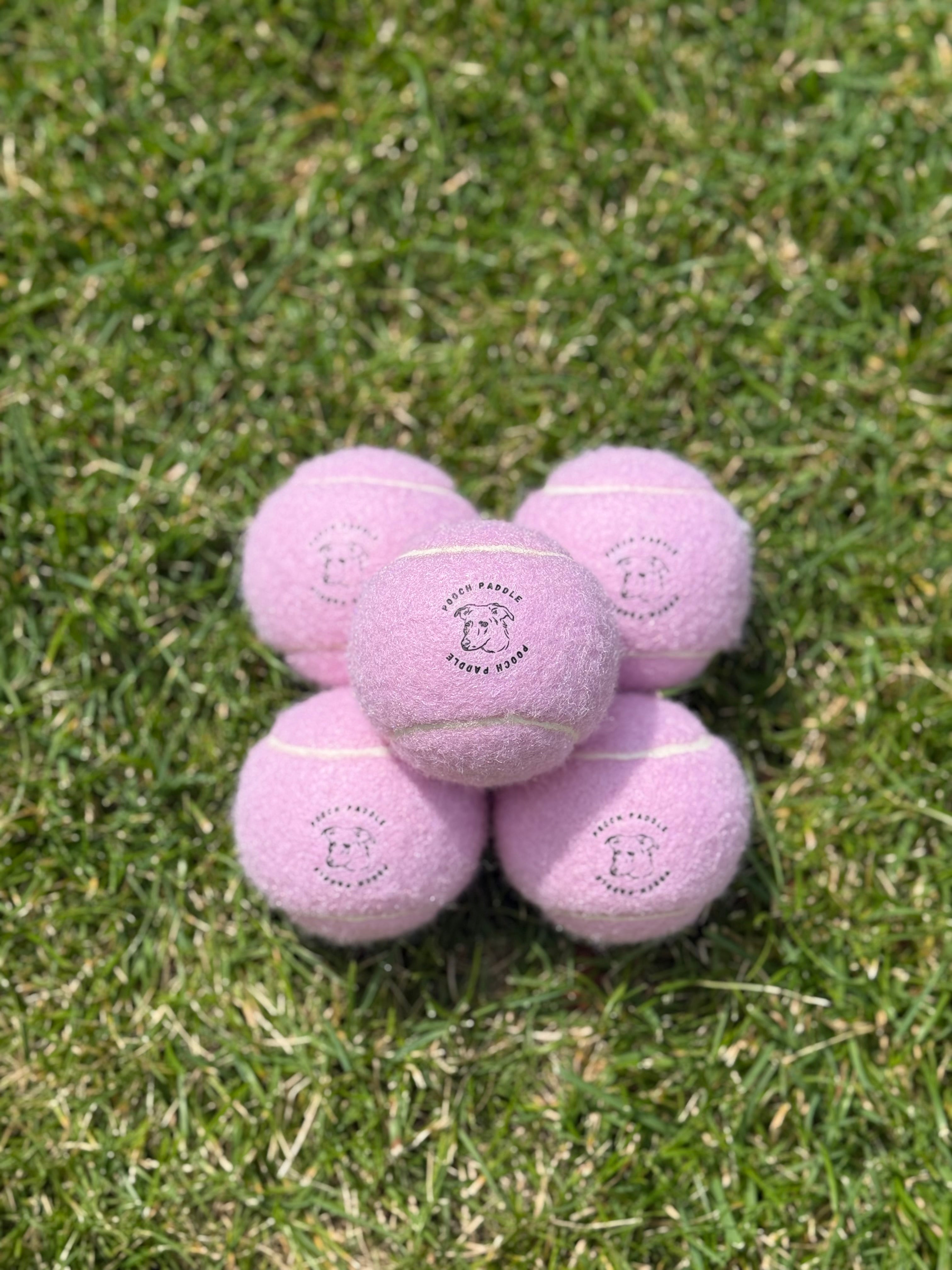 Pooch Paddle Balls