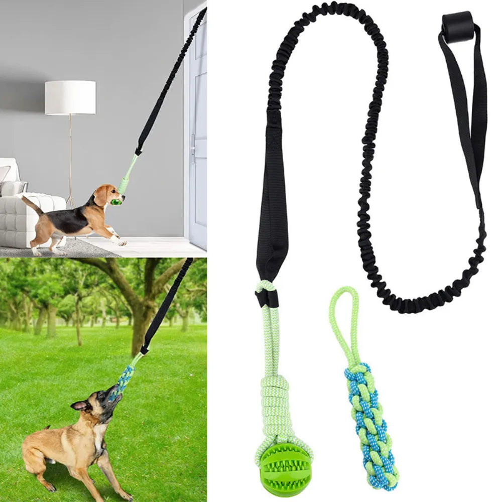 Pooch Paddle™ Tug Buddy