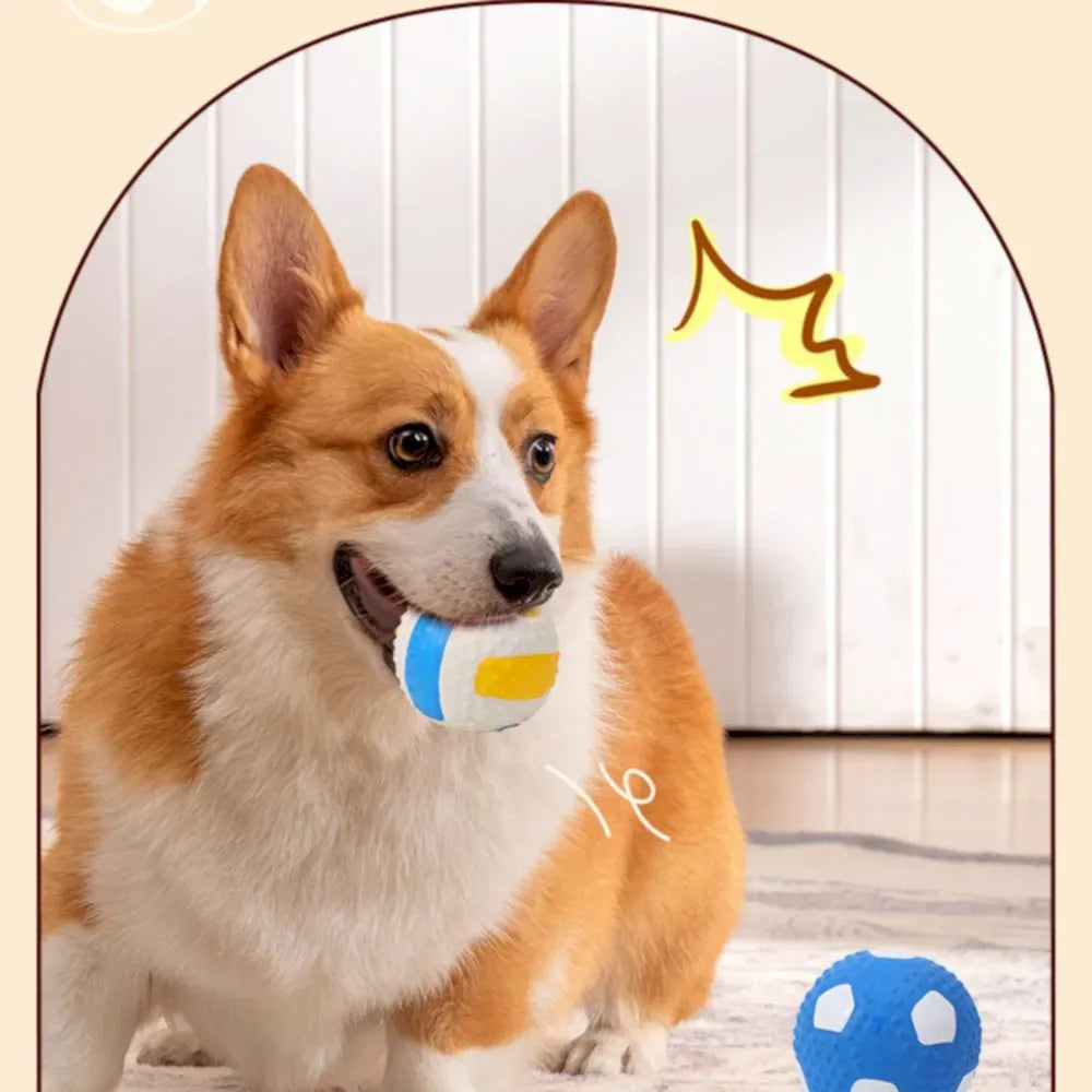 VolleyPup Squeak Ball